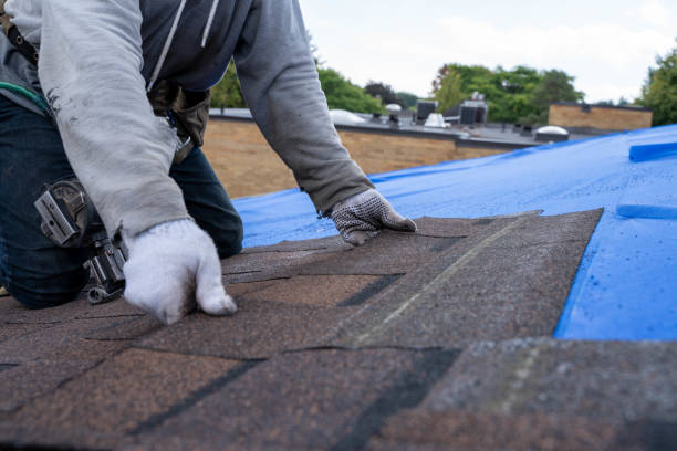 Best Sealant for Roof  in Wolfe City, TX