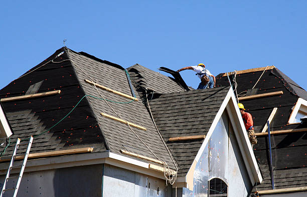 Best Metal Roofing Contractor  in Wolfe City, TX