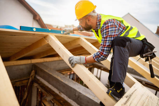 Best Roof Gutter Cleaning  in Wolfe City, TX