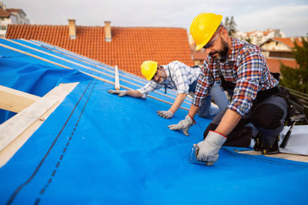 Best Roof Maintenance Services  in Wolfe City, TX
