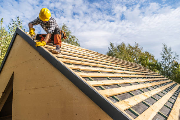 Best Sealant for Roof  in Wolfe City, TX