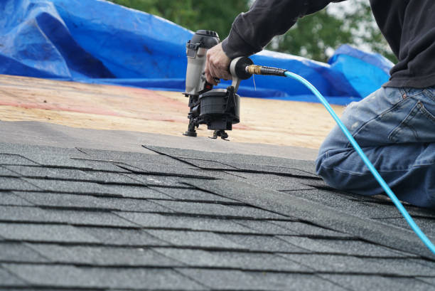 Best Local Roofing Companies  in Wolfe City, TX