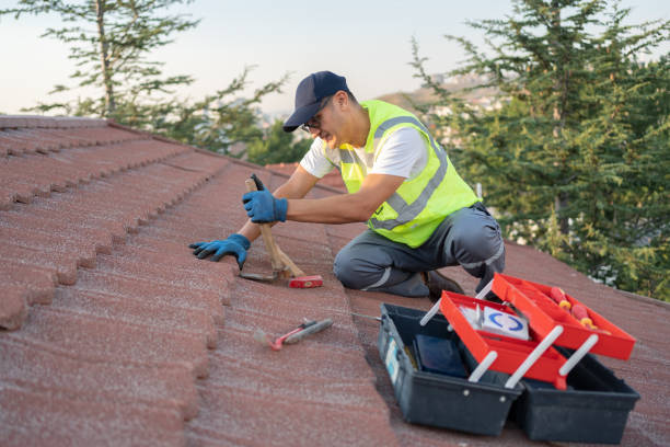 Best Storm Damage Roof Repair  in Wolfe City, TX