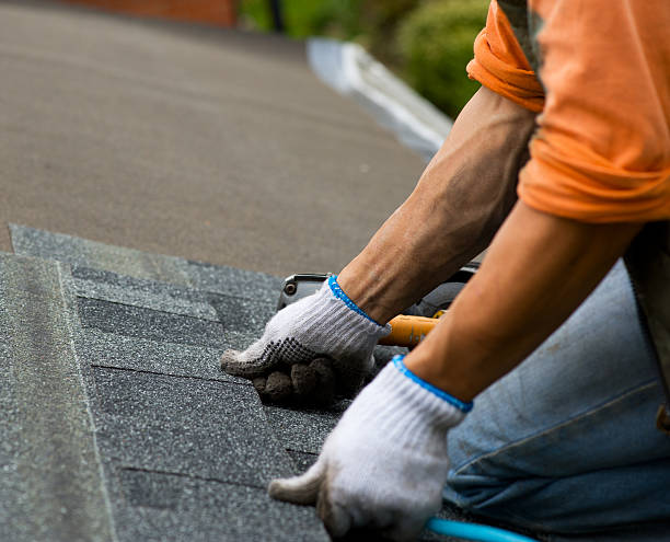 Best Tile Roofing Contractor  in Wolfe City, TX