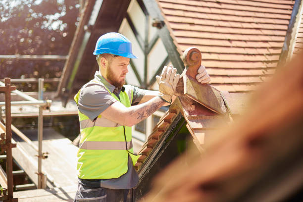 Best Metal Roofing Contractor  in Wolfe City, TX