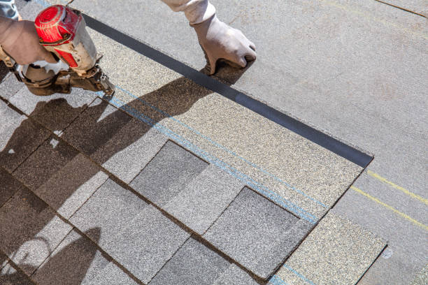 Best Roof Inspection Near Me  in Wolfe City, TX