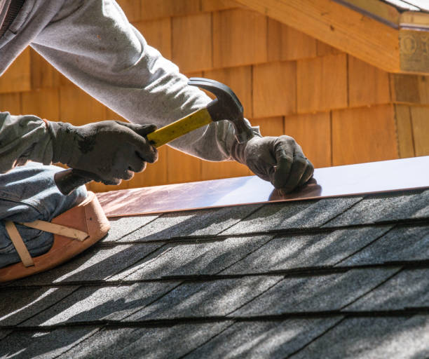 Best Gutter Installation and Roofing  in Wolfe City, TX
